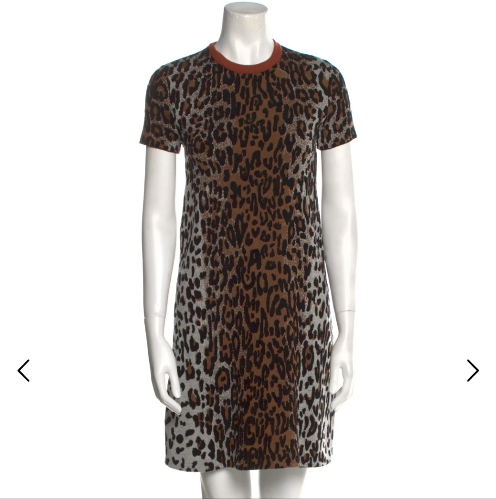 NWT $1515 Stella McCartney Dress 10